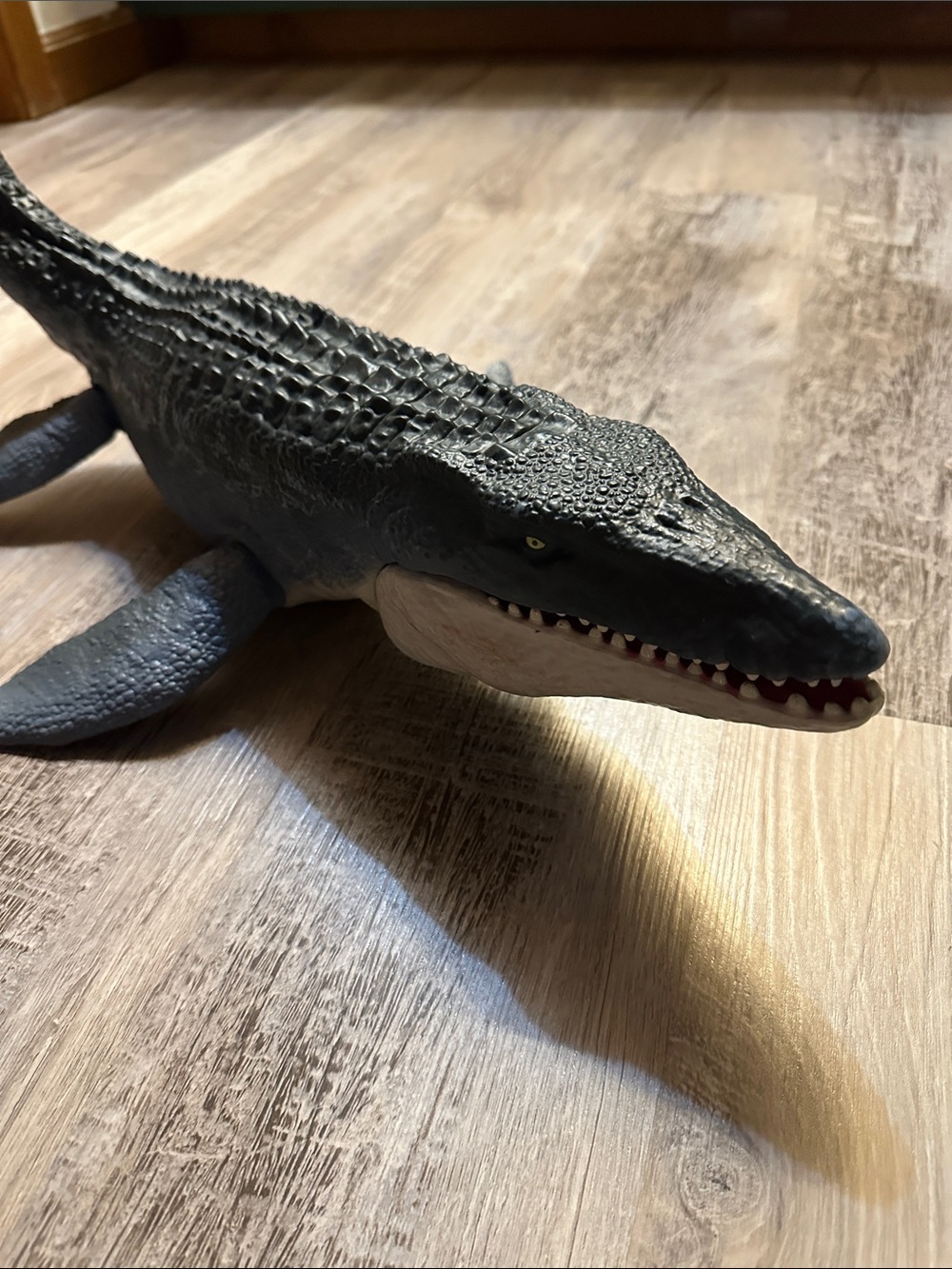 Mosasaurus - Picture 3 of 3